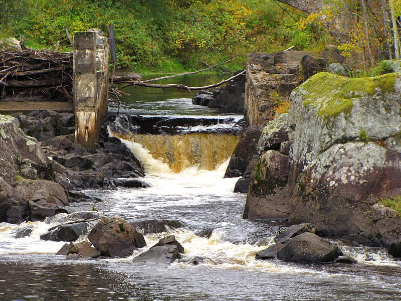 chute d'automne