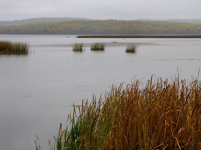 le lac sous la pluie