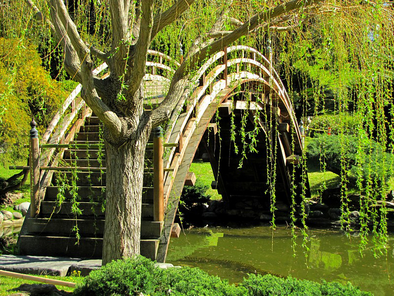 Jardin japonais- Huntington garden