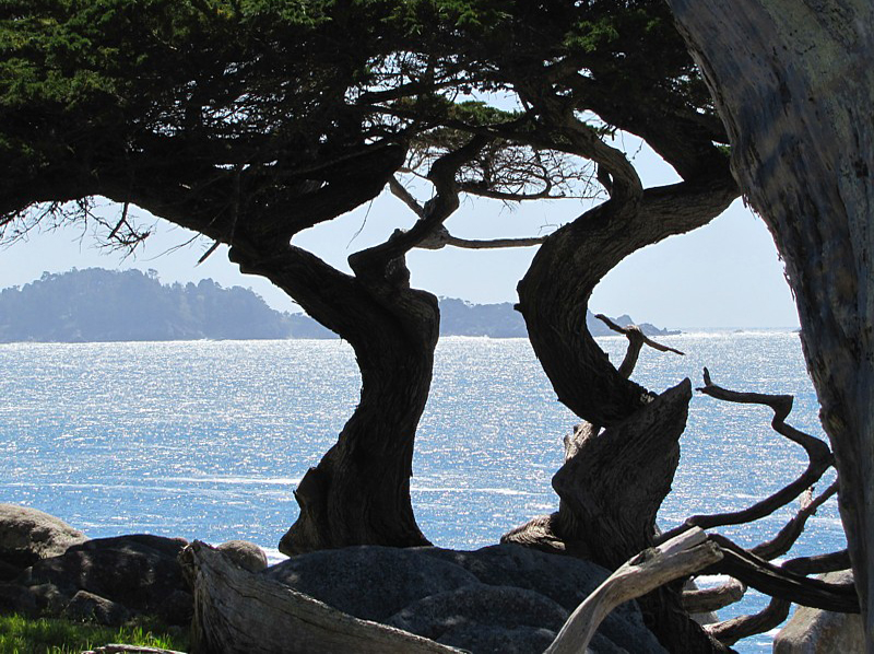 la baie de Carmel