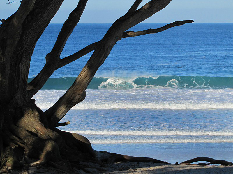 les vagues du matin - Carmel