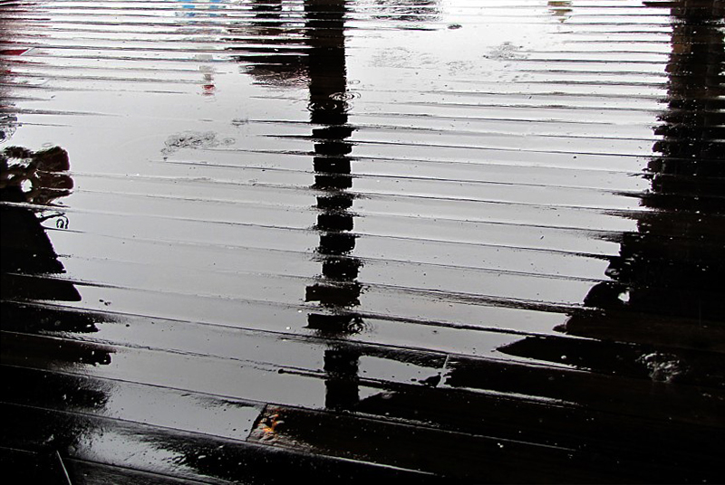 le plancher mouill du Pier 39
