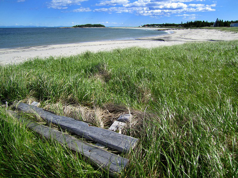 la plage et les foins