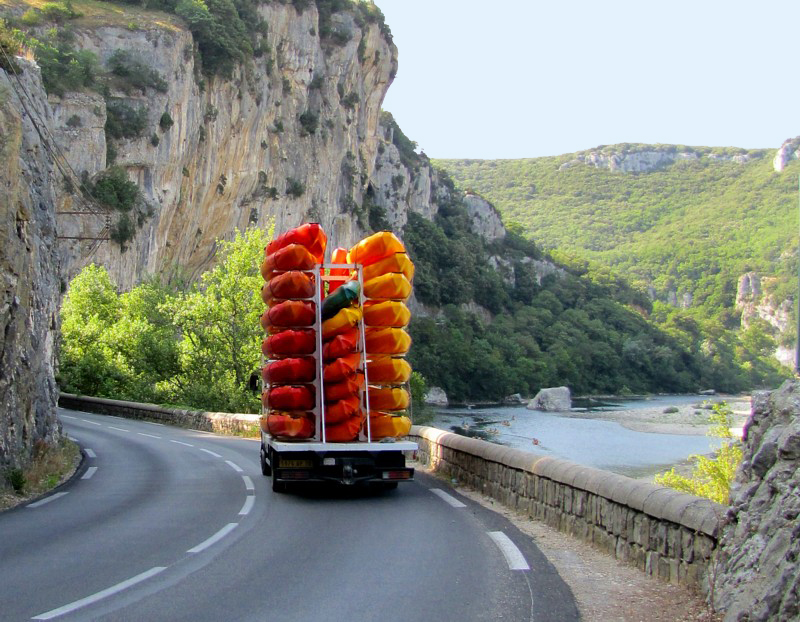 les canes en promenade