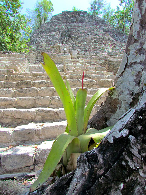 La nature reprenant ces droits