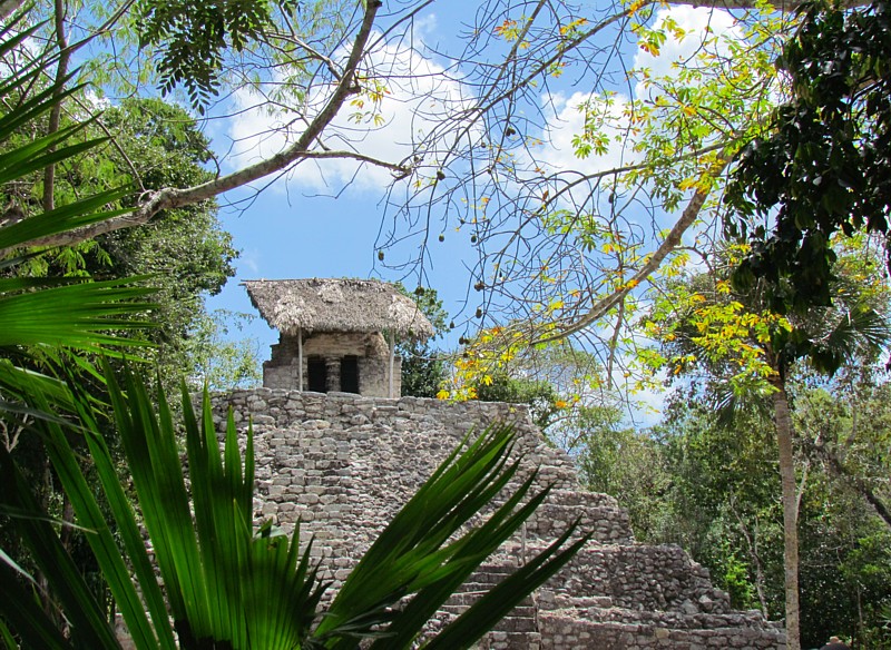 Un temple dans la jungle