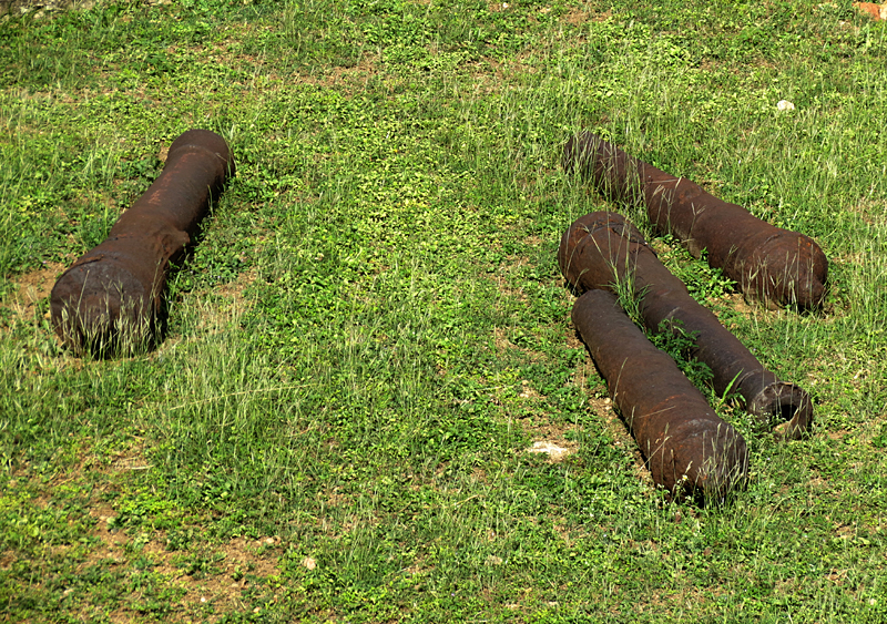Des canons perdus dans l'herbe