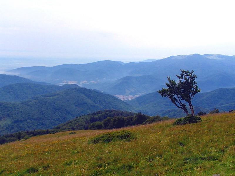 vers la plaine du Rhin