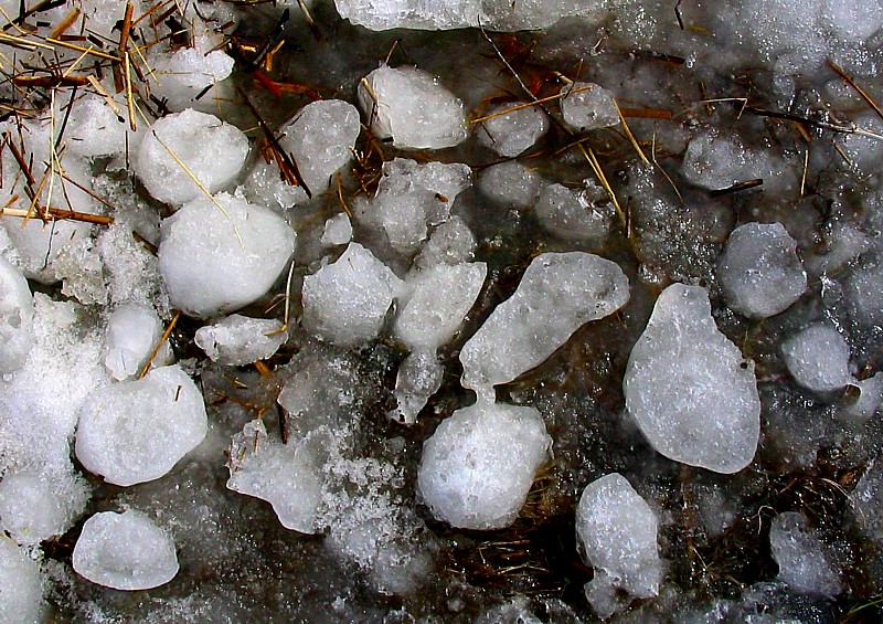 crottes de glace