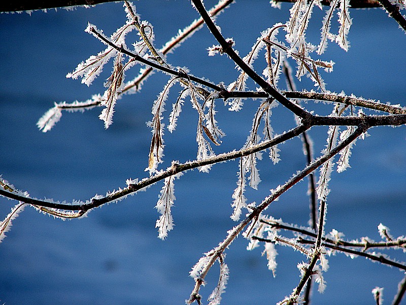 Bijoux de neige