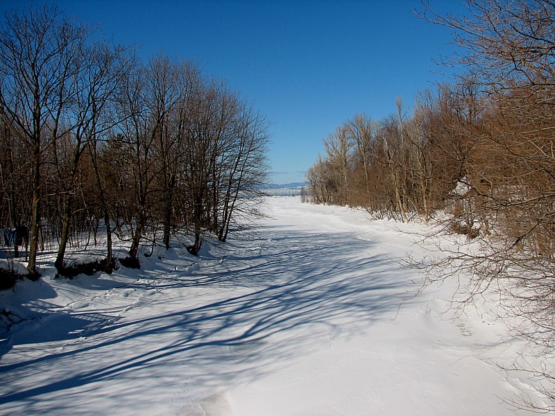 la rivière Ferrée à Village-des-Aulnaies