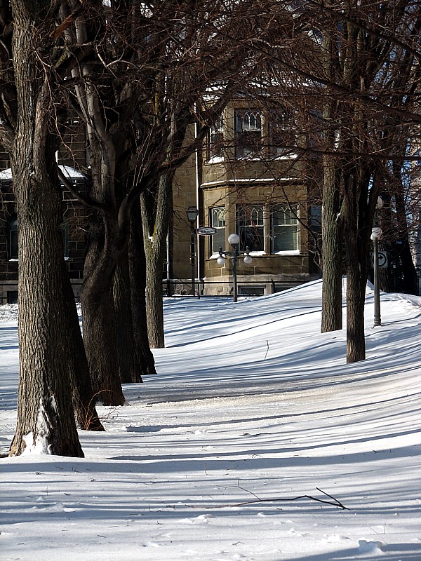 Parc des gouverneurs