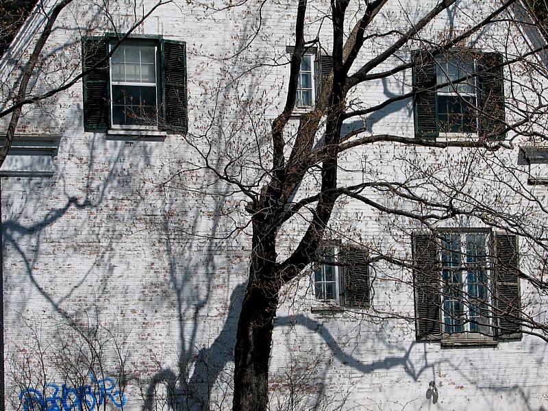 La maison au TAG bleu