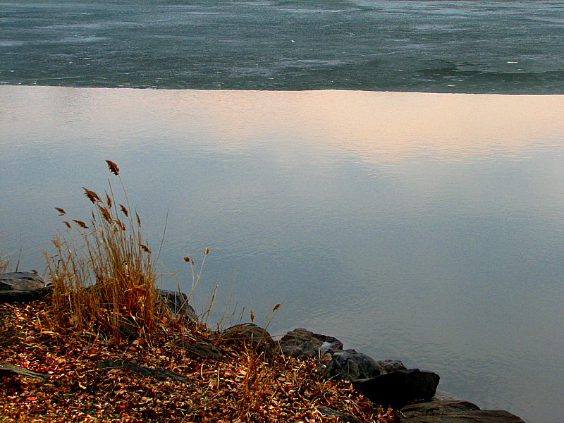 Horizon de glace