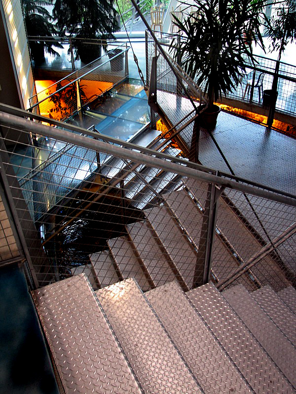 les escaliers de l'aquarium