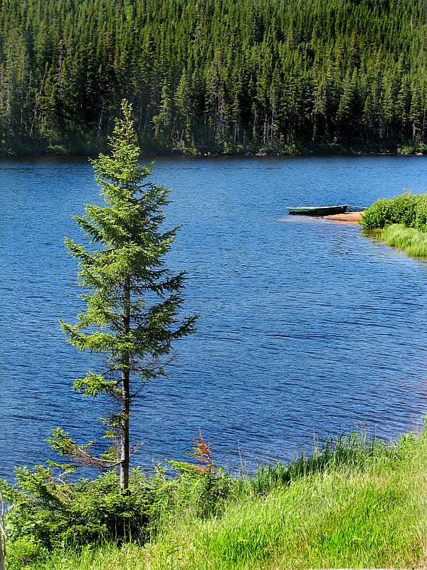 Lac de la rserve faunique