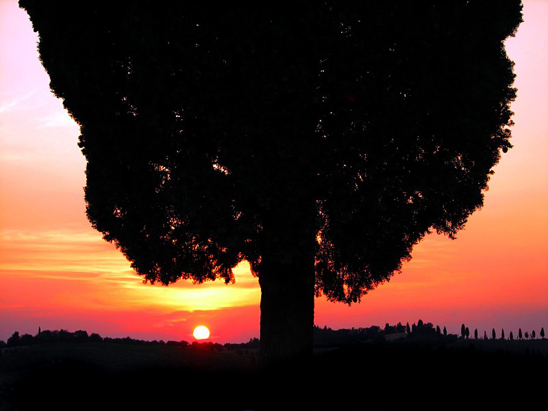 coucher de soleil  Casina di Cornia