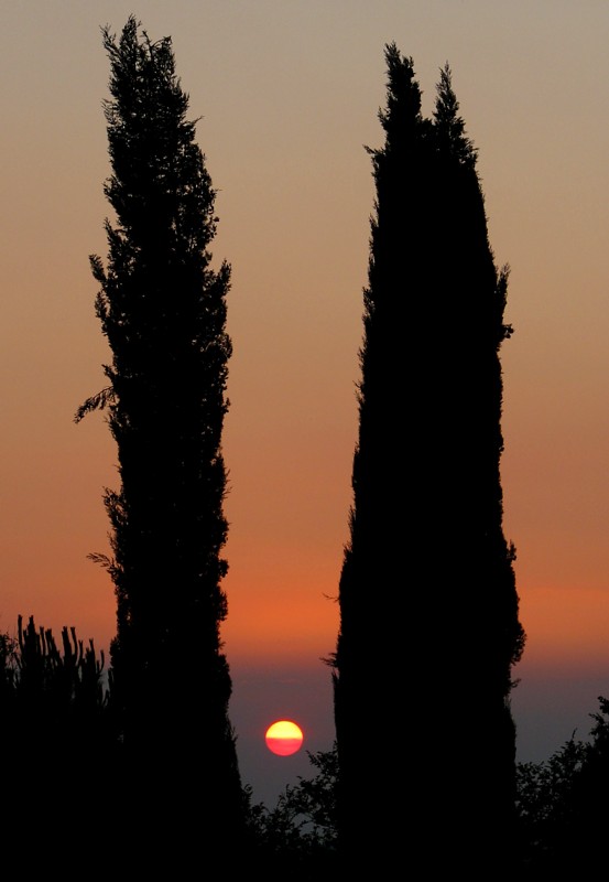 Toscane, le soleil entre les deux cyprs