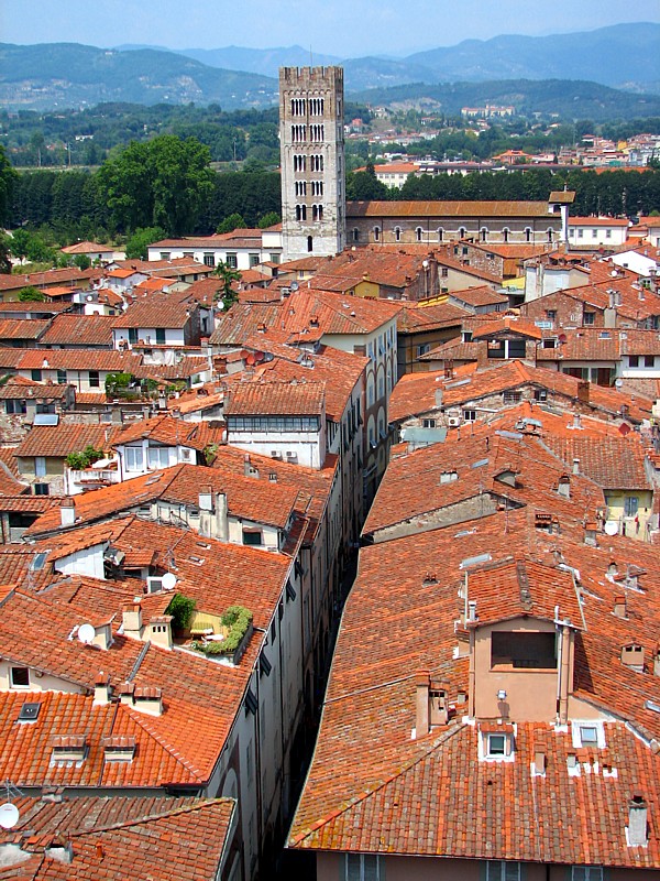 toits de Lucca et l'glise San Frediano