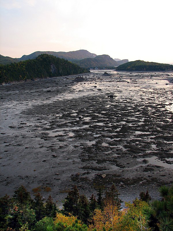 L'anse à marée basse