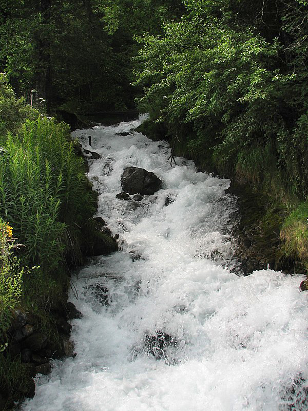 torrent