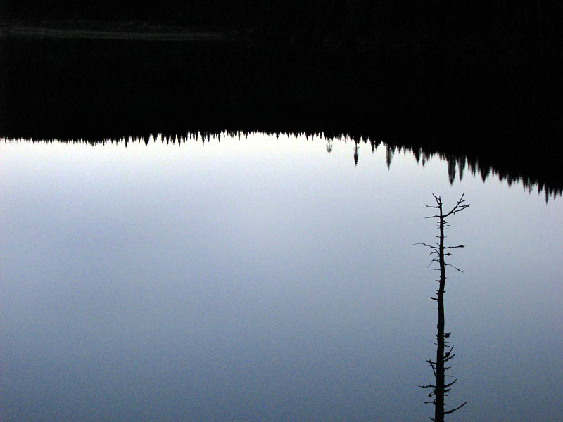 la vue du lac en soire