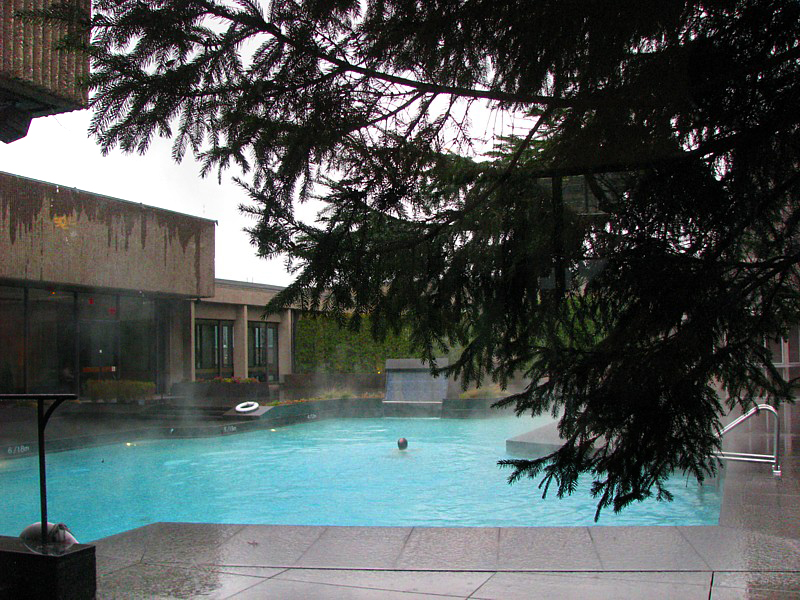 la piscine du Hilton Bonaventure