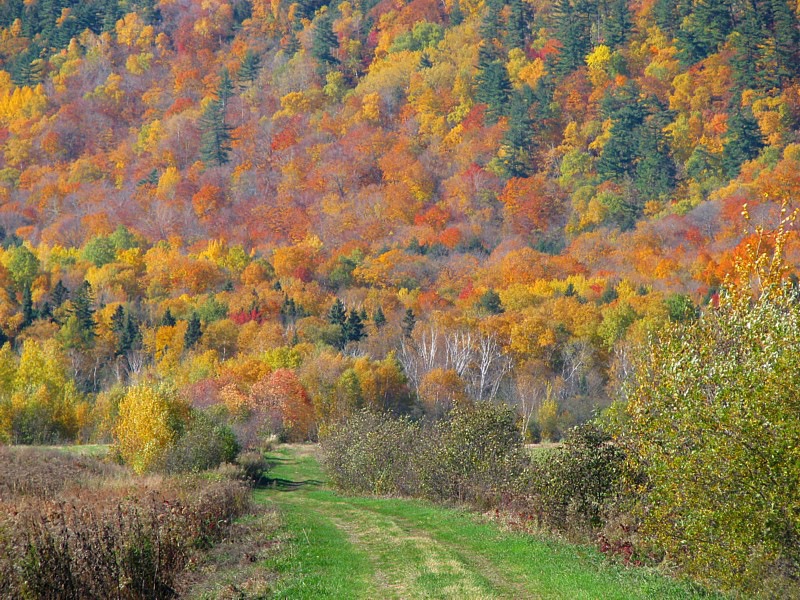 en plein automne