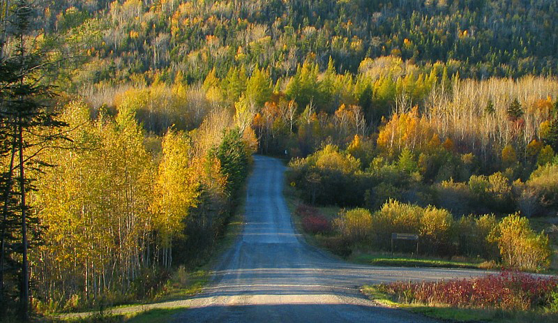 la route  travers le parc