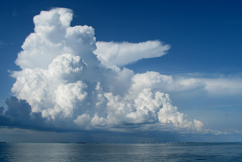 Cumulus