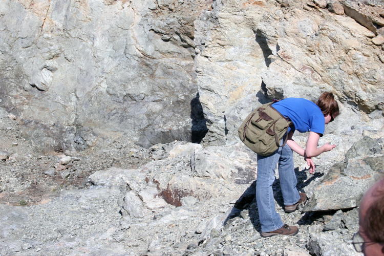 Coal Creek Serpentenite