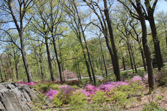 ir-130501_09970_11-40.jpg