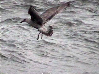 Pict0024.JPG