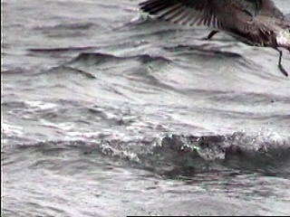 Pict0032.JPG