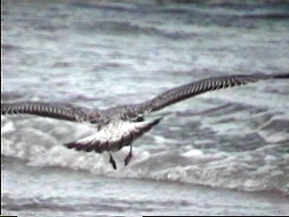 Pict0038.JPG