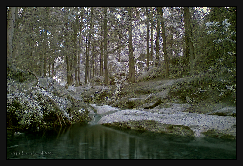DSC_0194.jpg