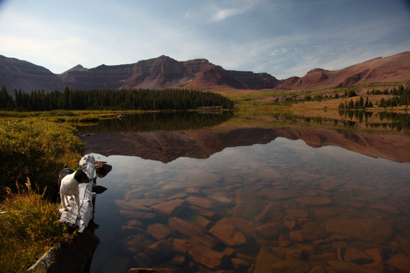 Henrys Fork Lake and Kelly