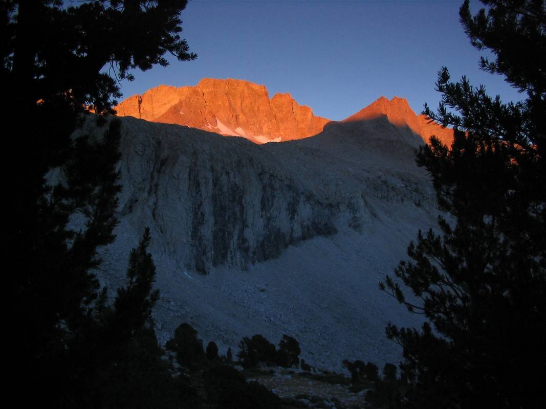 Sunrise on north side of Forester Pass through whitebark pines