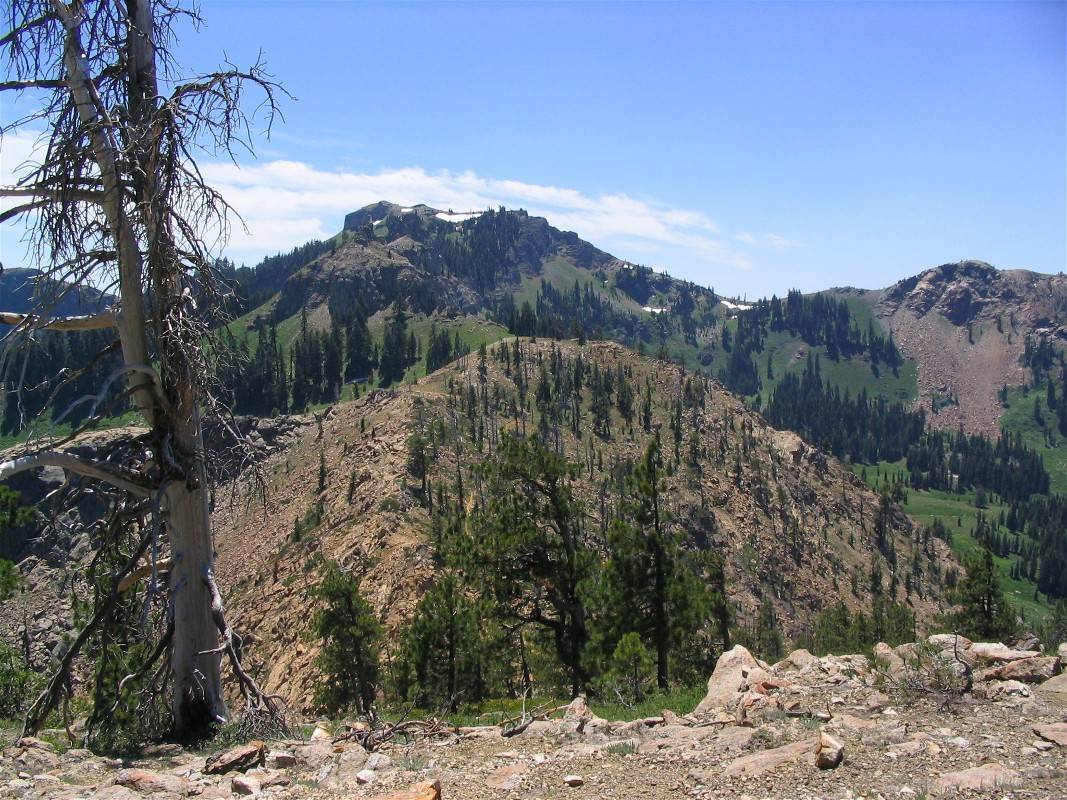 Kings Castle viewed from the north on the PCT