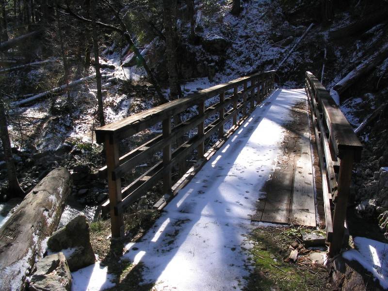 First tracks on fresh snow