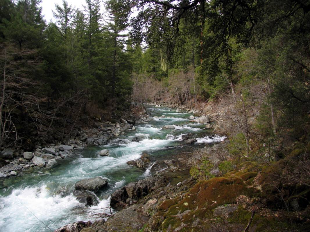 North Fork of the Salmon River
