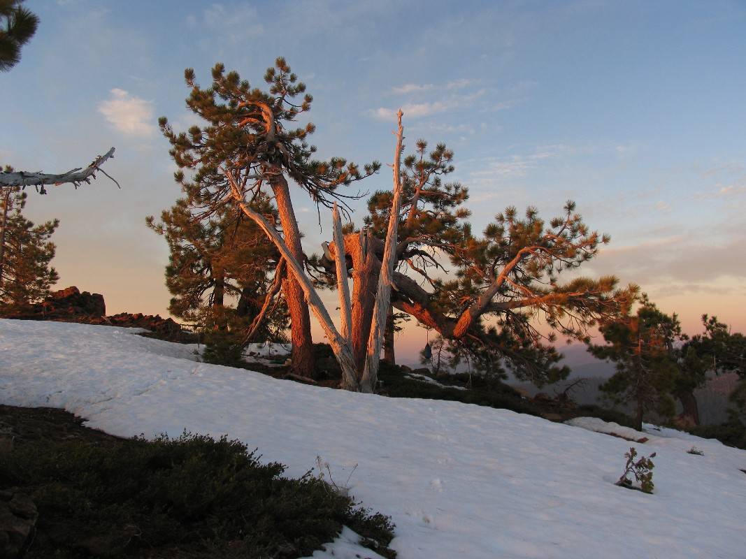 My ridgeline sheltered campsite.