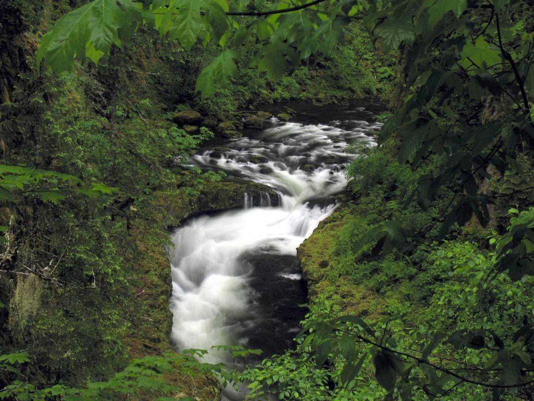 Eagle Creek