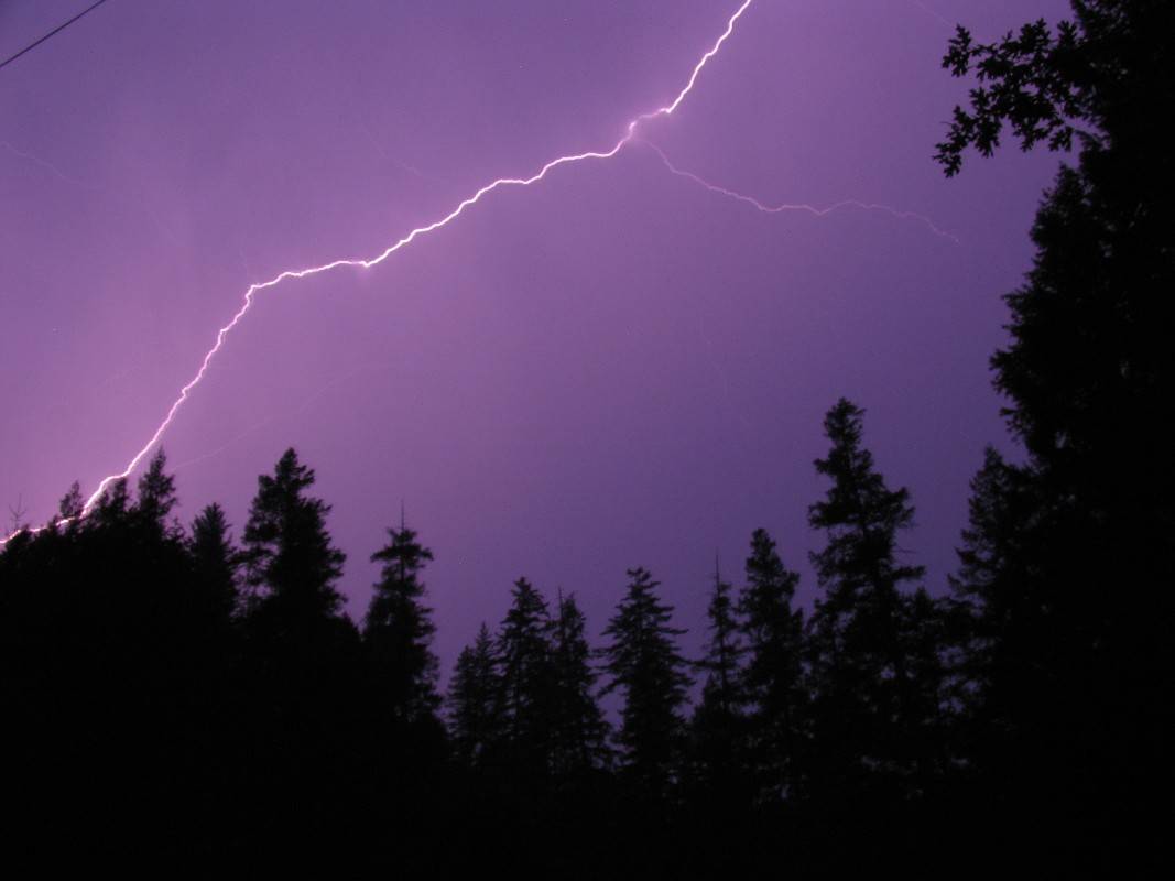 Lightning in my backyard