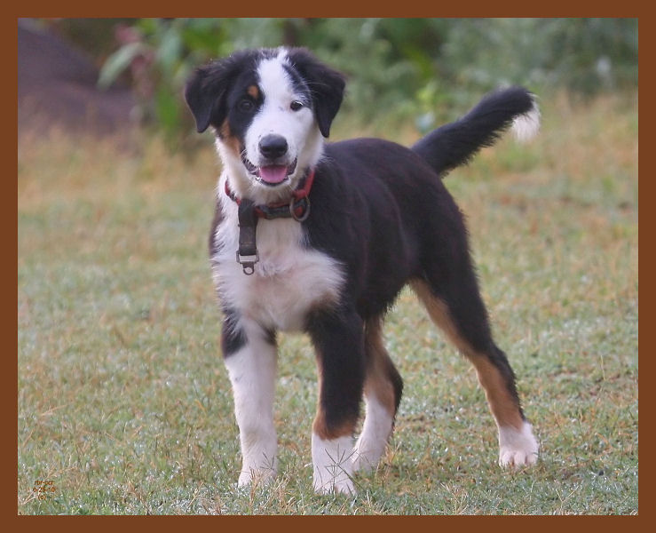 monty-726-6-25-10b.JPG