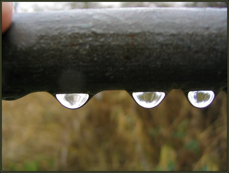 Water Drop Reflections