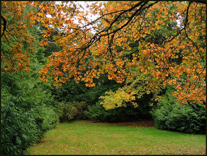 Fall at the Pacific Centre