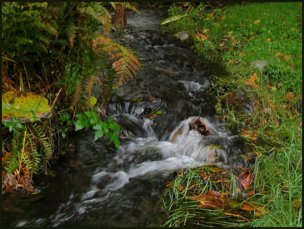 Fall at the Pacific Centre