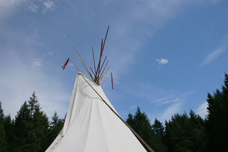 Tipi