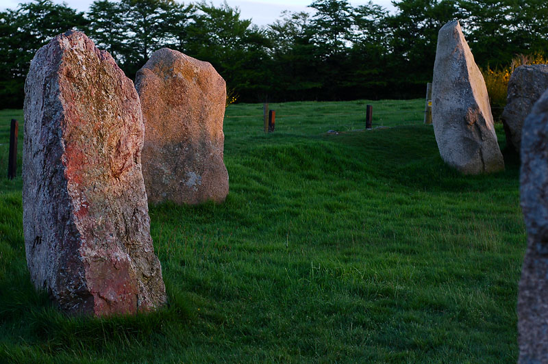 11th June 2010 <br> late sun